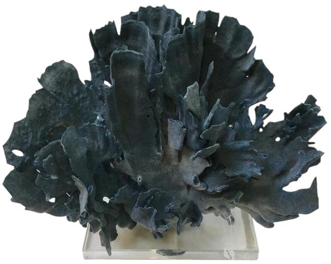 Sculpture Coral Creation Blue Acrylic Base-Image 1