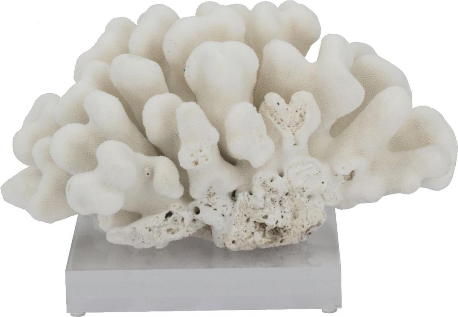 Sculpture Elkhorn Coral Small Colors May Vary Variable Acrylic Base Handmade-Image 1
