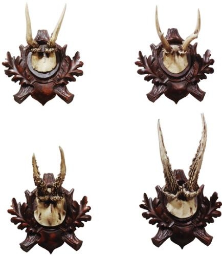 Plaques Plaque MOUNTAIN Lodge Roe Deer Antlers Chocolate Brown Set 4 Resin-Image 1